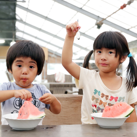 バーシック君 メロンリリちゃん キーホルダー メロンの被り物付き お顔